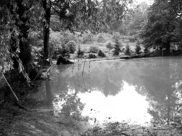 Powódź 2009, boisko szkolne