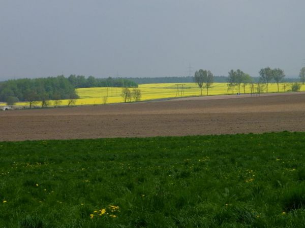 między Gronowem a Bielawą Górną