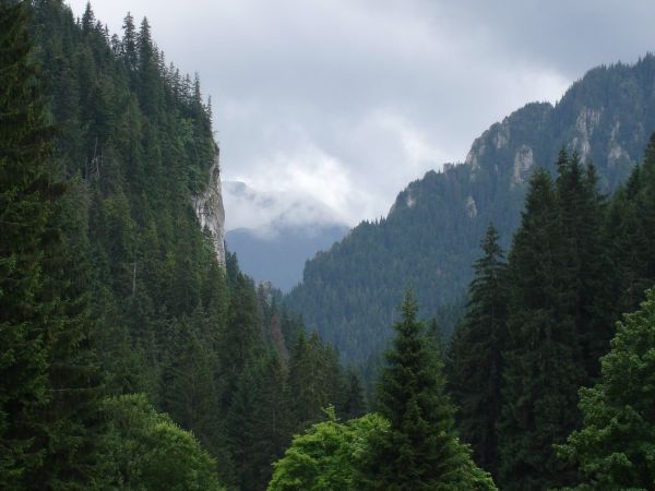 Dolina Kościeliska, Kościelisko