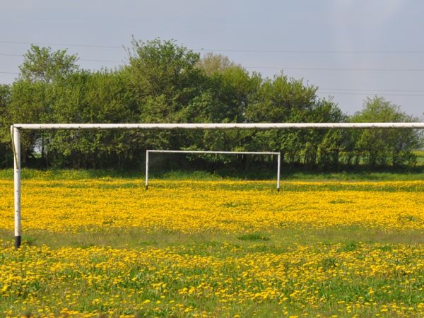 Borkowo – na sportowo.