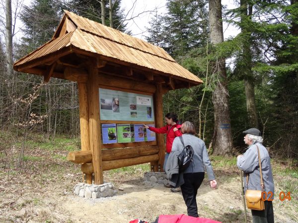 przy tablicy informacyjnej co z otoczeniem harmonizuje, w szczególności pod kątem zajmowanej przestrzeni oraz materiału, z jakiego jest wykonana a i ciekawa for