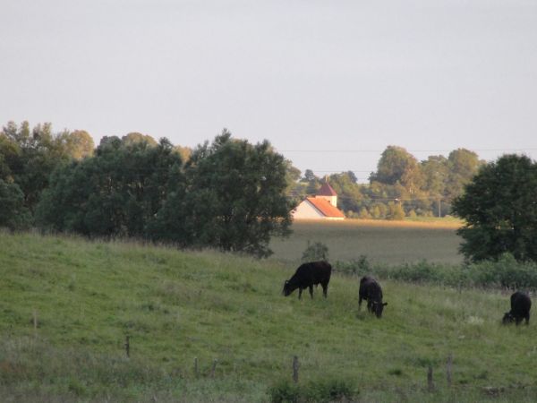 Widok z Toprzyn na Gałajny.