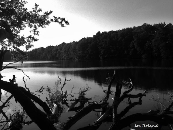 J. Wołogoszcz Duży