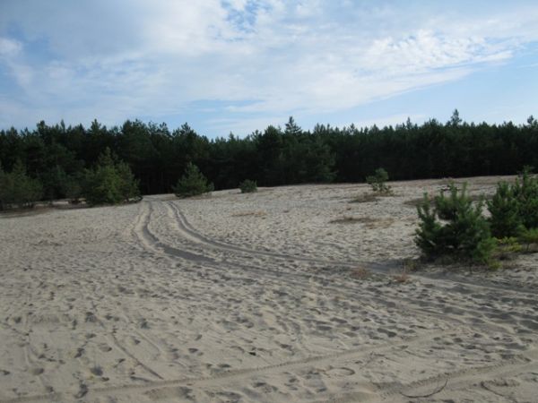 Super miejsce na spacery i zabawy na piasku