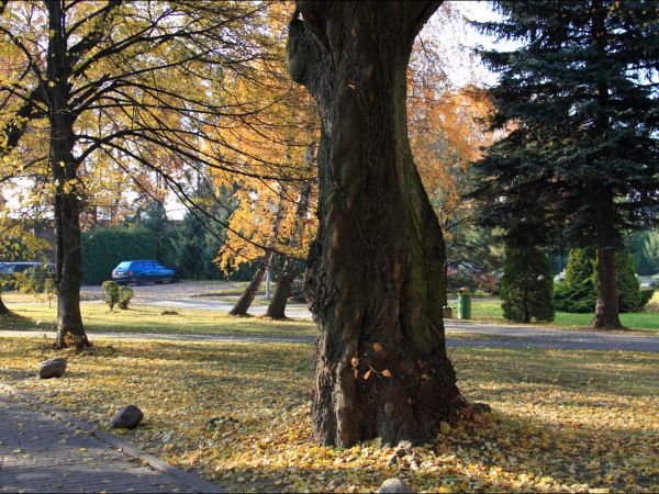 Kościół pw. św. Mikołaja i Stanisława biskupa w Jarosławiu przy ulicy Benedyktyńskiej. Przez starszych mieszkańców zwany Anna Kasarnia, został zbudowany w latac