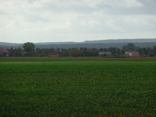 Luboszyce - widok od strony Kietlowa