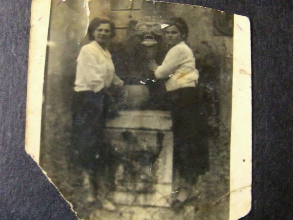 starsza zniszczona fotka  widać słabo lew pomnik przy dawnym pałacu