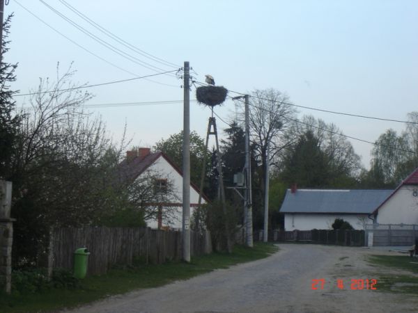 Elektryczne boćki...