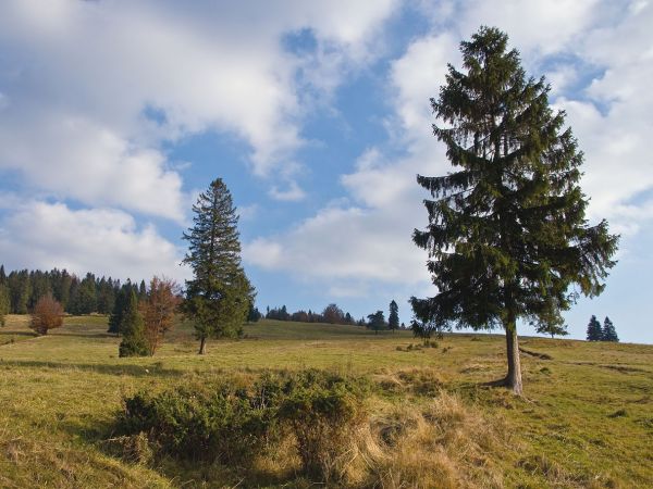 REZERWAT BIAŁA WODA