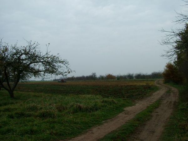 Jesienne pola Oborzan