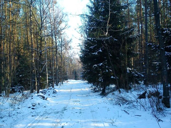 Zima w Spychowie jest bajkowa