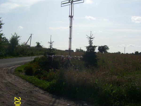 zdjecie Niedźwiedź