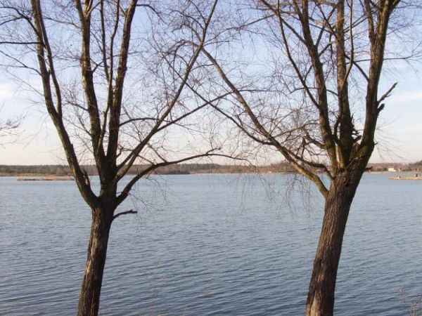 zdjecie Wierzchosławice