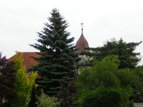 zdjecie Sulechów