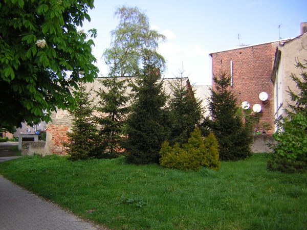 zdjecie Sulechów