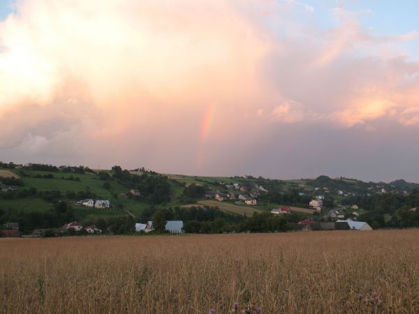 Zdjęcia Rzepiennik Biskupi