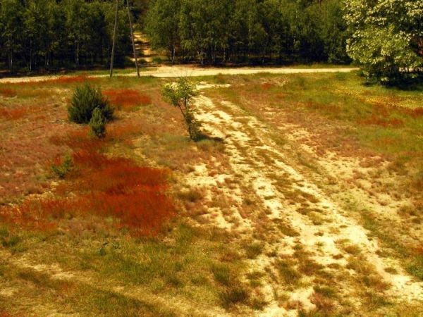 Piskory -Piskory Urocze -Centre