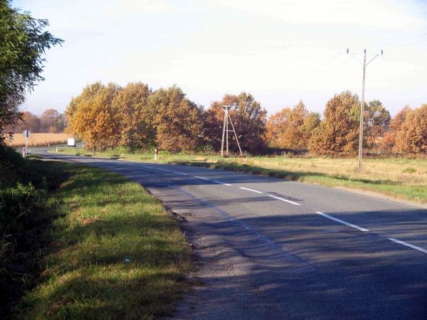 Doga z Wyszonowic do Głębokiej Śląskiej.