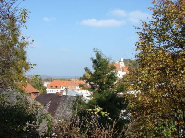 zdjecie Kazimierz Dolny