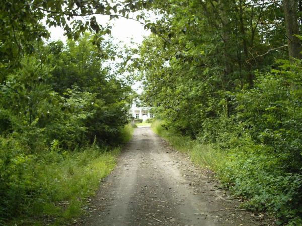 zdjecie Orłów Murowany