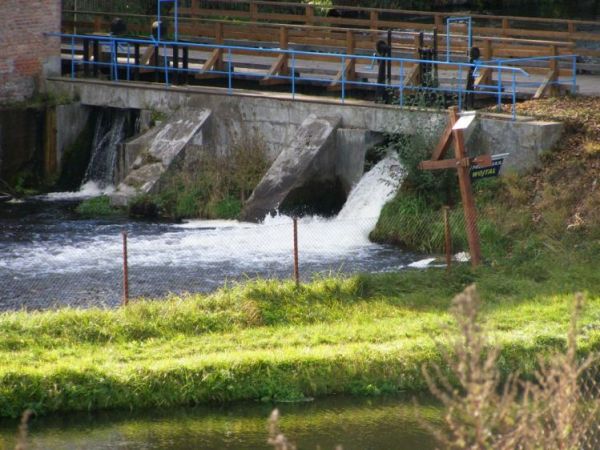 Zapora przy nieczynnym młynie.