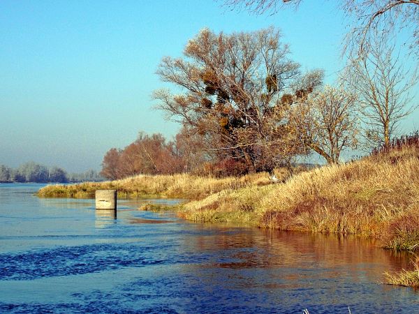 Silno n/Wisłą - 720 km jej długości i pozostałości XIXw. wodowskazu.