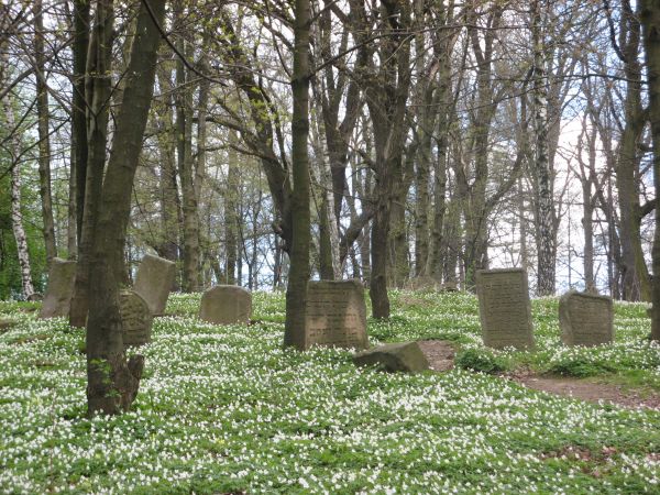 Z przedstawienia wiadomo, że korona lub księga to grób uczonego, złożone do modlitwy dłonie to mogiła kapłana, lew to potomek pokolenia Judy, dzbanek to lewita,