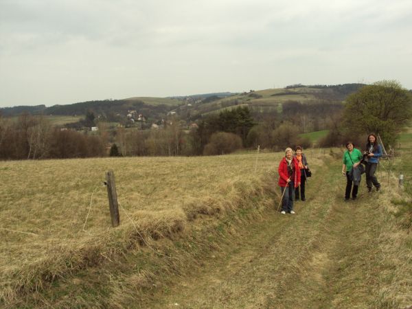 po wyjściu z "Lasu Niemilka" : w dolinie płynie rzeka Osława a dalej wieś oraz droga do m. Poraż  /jest galeria - zapraszam/ - to w prawo zaś prosto to z przysi