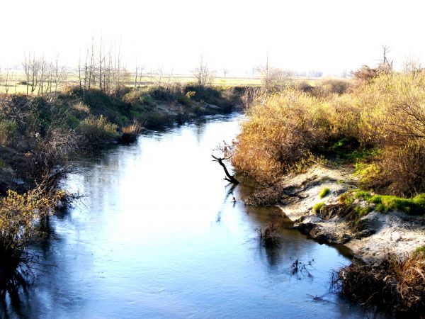 Jesień 2010
    - 2 -