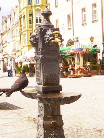 Tak w czerwcu 2010 studnia wRynku