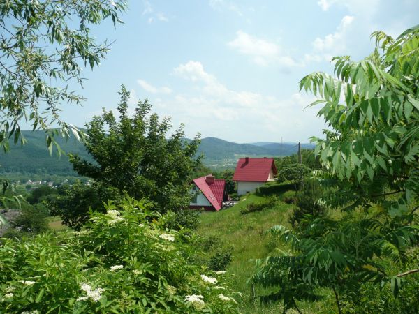 zdjecie Gorzeń Górny