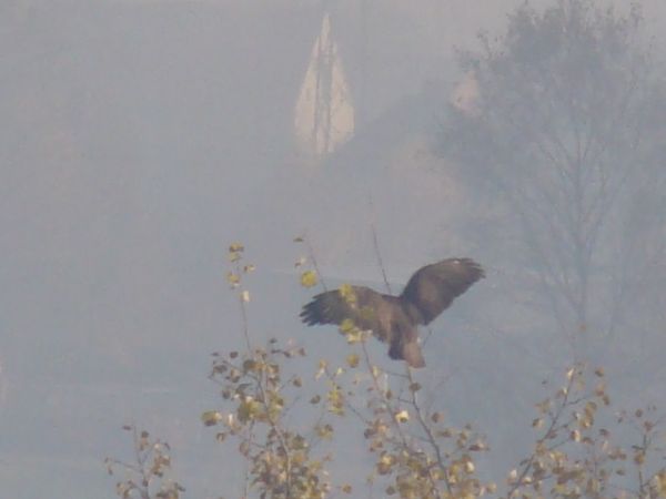 Lądowanie - 09.2011 Książenice