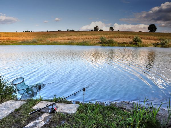 zdjecie Wodzisław Śląski
