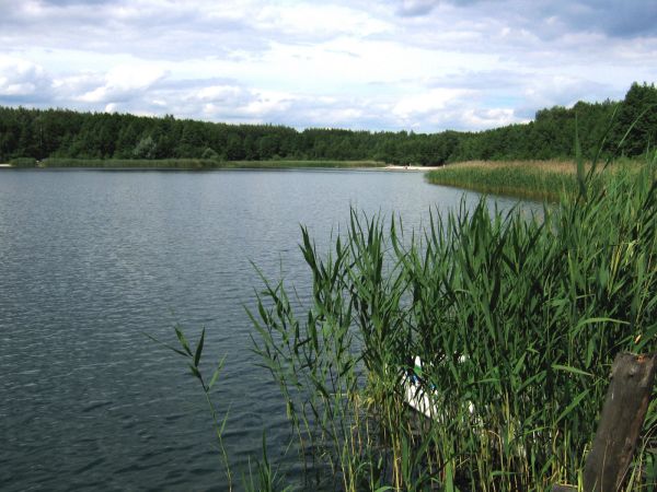 Jezioro Budzisłwaskie natura