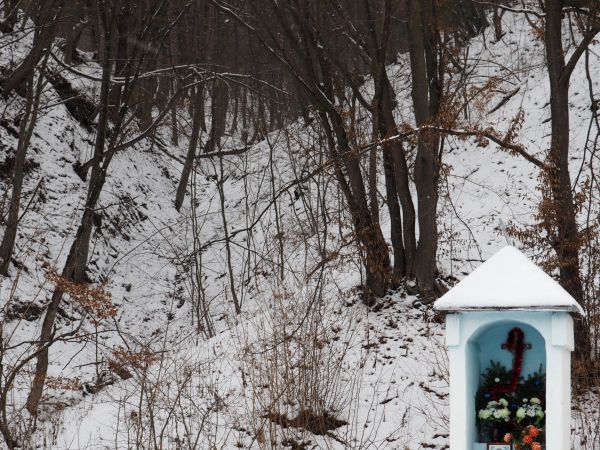 kapliczka przydrożna, wzniesiona w XIXw., murowana, potynkowana, czworoboczna, z głęboką wnęką od frontu, dach kryty blachą, w niej krucyfiks ludowy i obrazek p