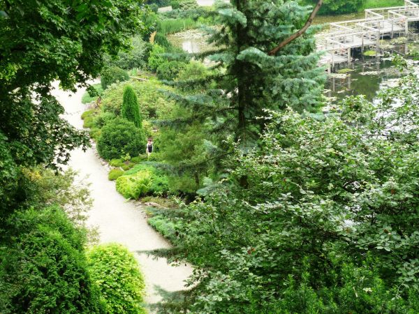 Arboretum i Zakład Fizjografii w Bolestraszycach . Widok na starą dolinę Sanu.