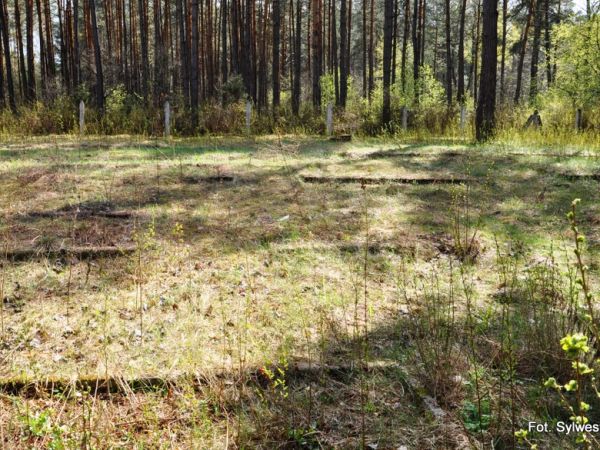 W 1941 r. do wykopanych tu przez Sowietów rowów przeciwczołgowych zaczęto przywozić ciała jeńców z obozu w Dłutowie (Stalag Fischborn). Według niepotwierdzonych