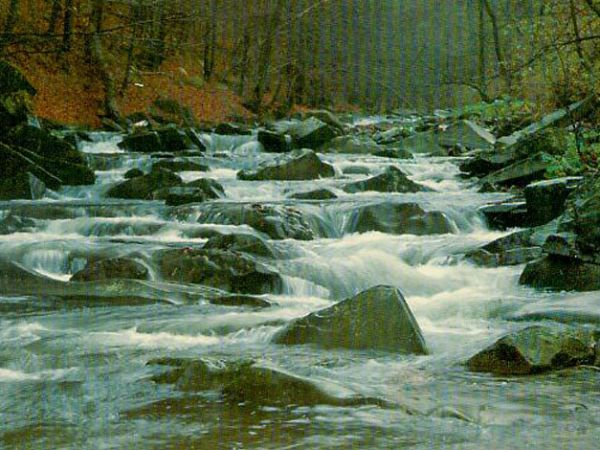 Sierpień 1999      Nasiczański potok