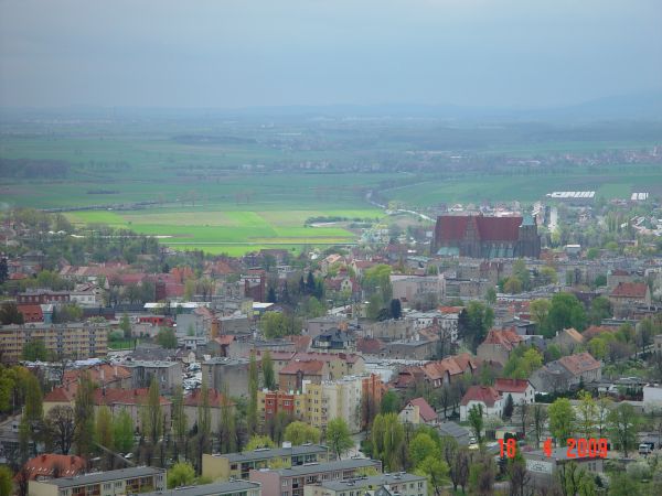 zdjecie Strzegom