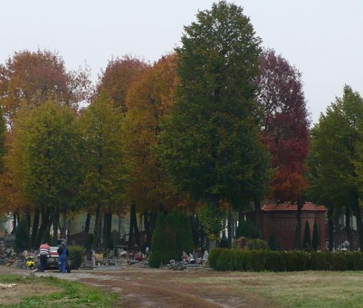 Cmentarz od ulicy Polnej