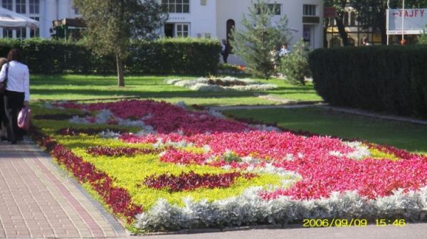 Ciechocinek - rabaty kwiatowe