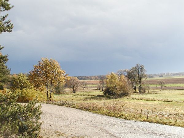 Wygiełdów, listopadowym pędzlem malowane...