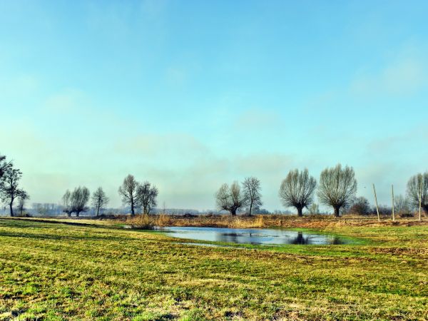 Uroki wiosny dnia 02-04-2011r