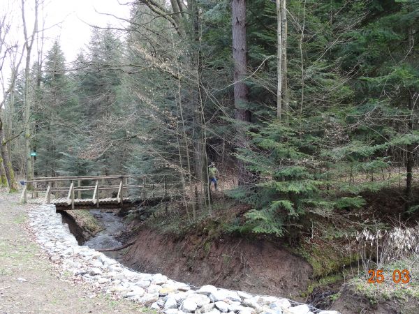 na szlaku "Brzozów - Zdrój" : przez mostek do stanowiska kłokoczki południowej - schodami w zboczu / stoku wyrytymi i wyprofilowanymi, z poręczą! Owocem kłokocz