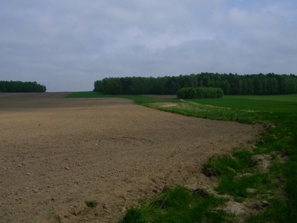 okolice Bielawy Górnej