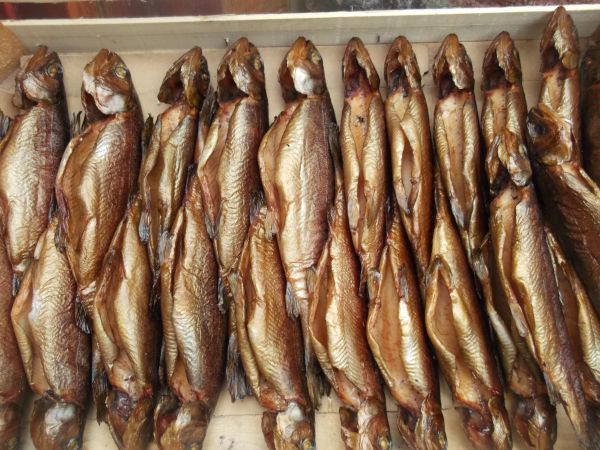 Wędzone ciepłe pstrągi Kaszubskich Chróstów