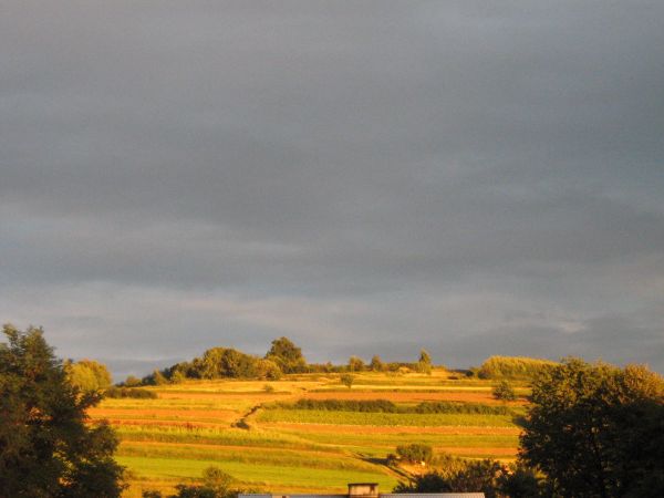 Jedna z górek otaczających Chechły.