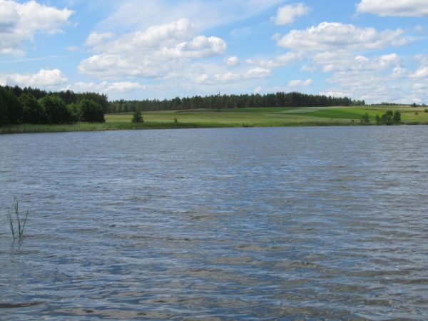 Jezioro Lubiki w Lubikach