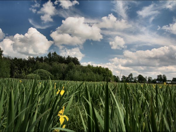 zdjecie Tyniewicze Duże