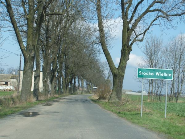 Zdjęcia Srocko Wielkie